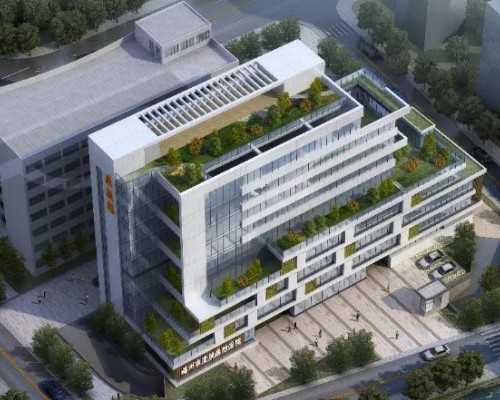 济南代孕生殖专家,代孕影响遗传吗