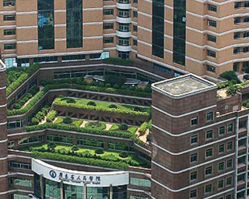 权威助孕机构,泰国供卵代怀婴儿助孕期间的饮食注意事项