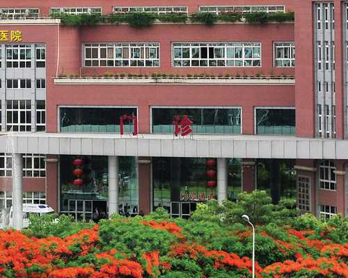 美女卧薪尝胆 爆中国首父(自称)3亿金币