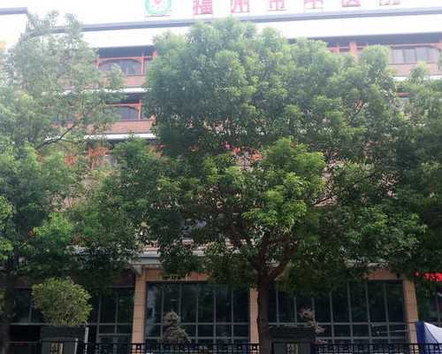 代孕沈阳代孕网