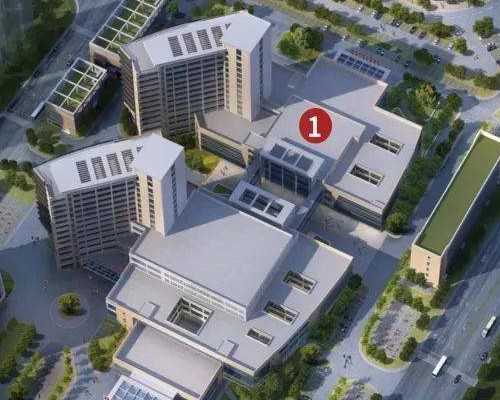 早孕有卵黄囊未见胚芽,试管婴儿供卵